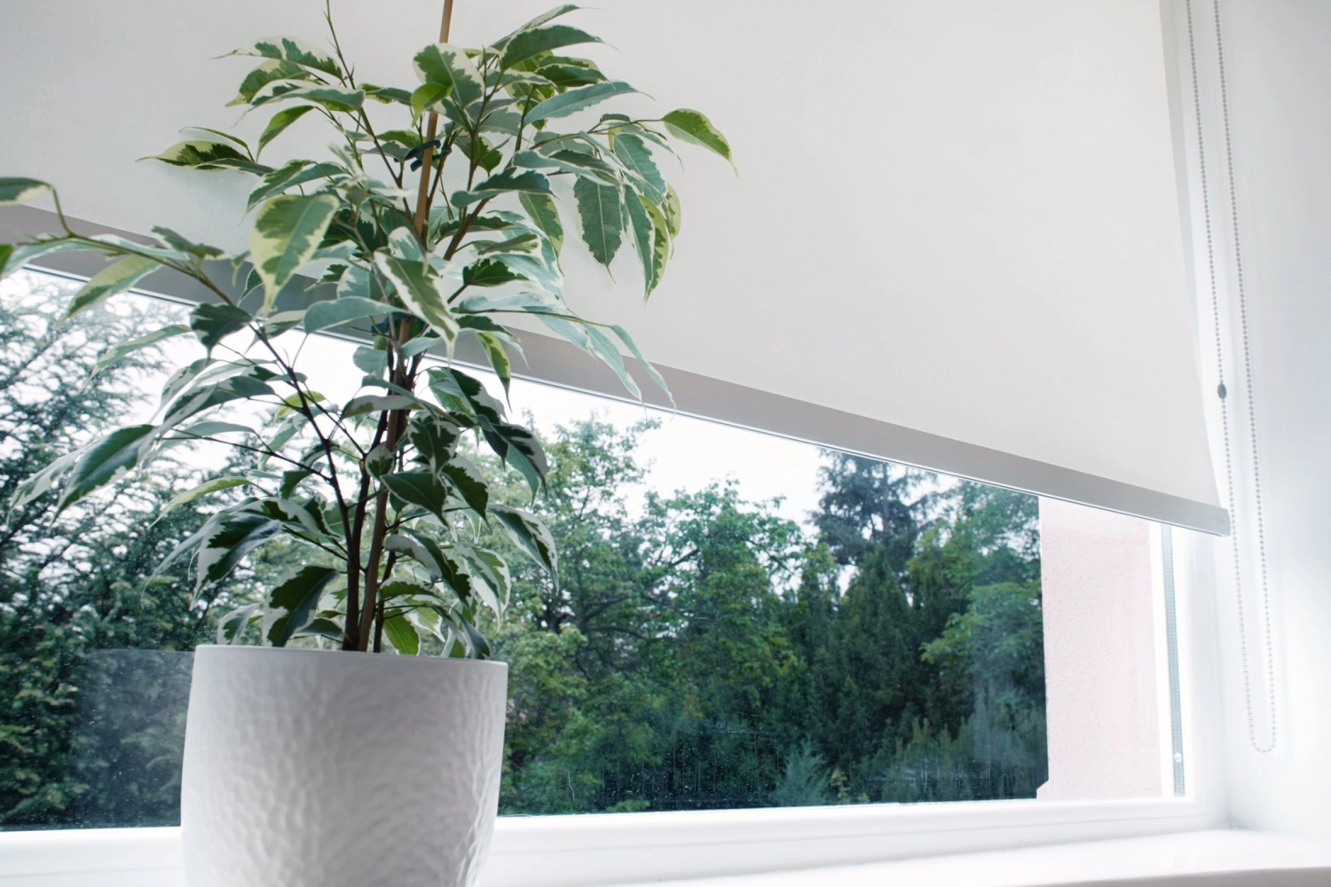 Druckwelt - Tuncay Denizci, Stoffrollos Verra Metal-Referenz